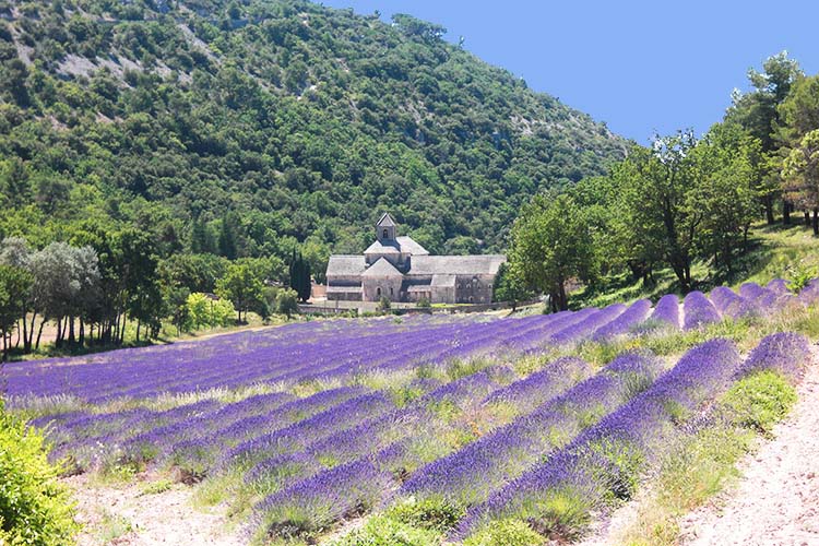 Abbazia di Senanque