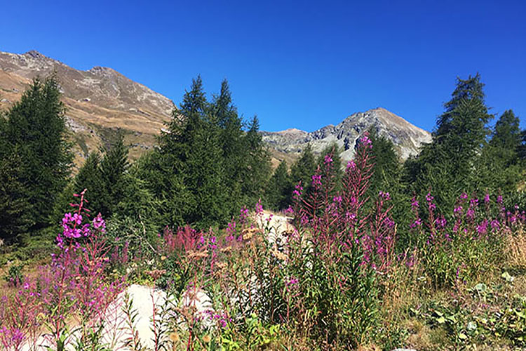 Lake Literan is a charming alpine lake in Val d’Ayas.