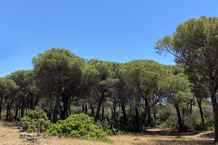 Il Parco regionale della Maremma