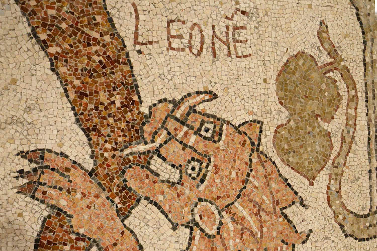 Mosaico dell’albero della vita nella Cattedrale di Otranto