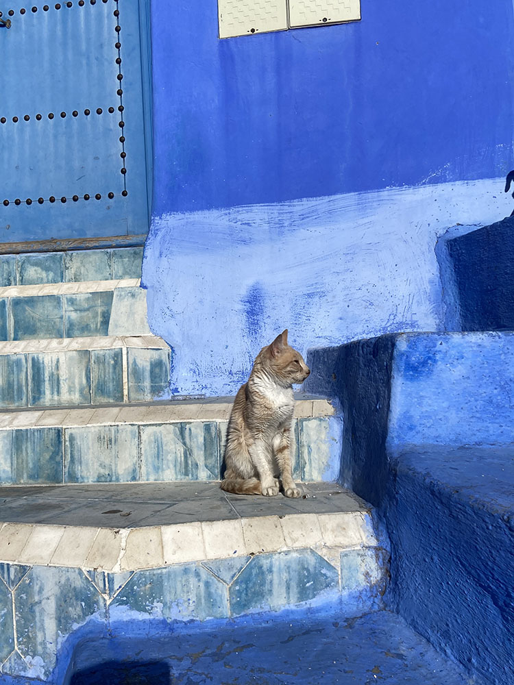 Chefchaouen, la città blu del Marocco