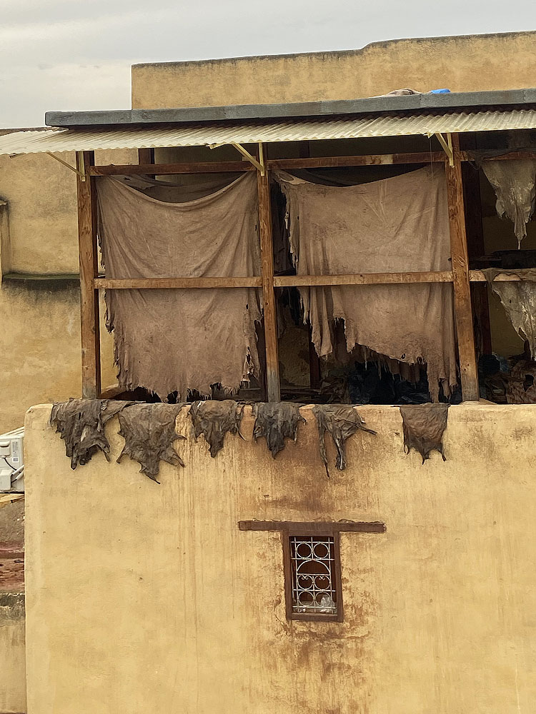 Fez Tanneries
