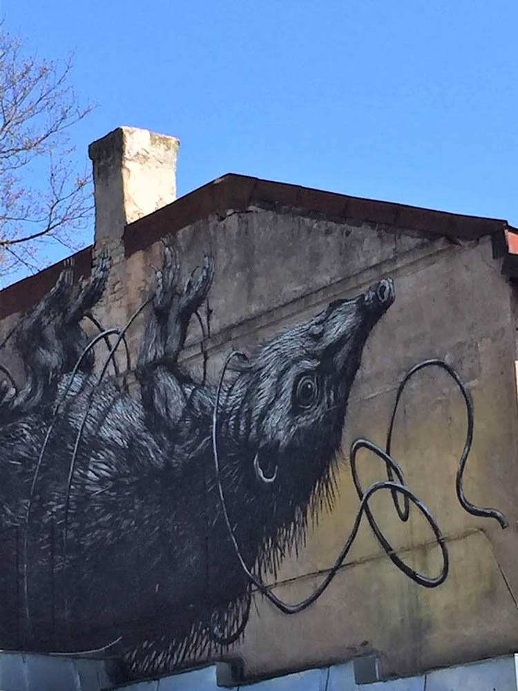 Roa artista
